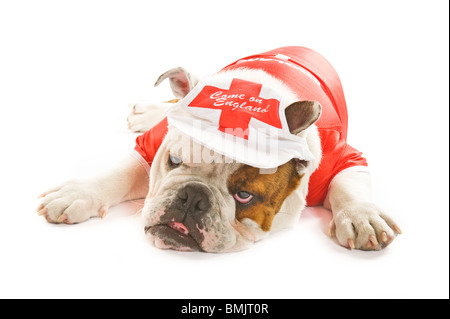 Eine britische Bulldogge liegend tragen ein Fußballtrikot England und Mütze gegen einen weißen Hintergrund suchen ziemlich satt. Stockfoto