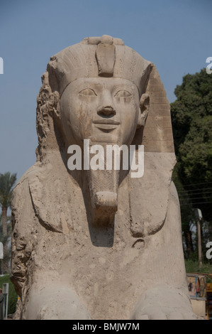 Ägypten, Memphis (aka Menufer). Alabaster Sphinx Amenophis II. Stockfoto