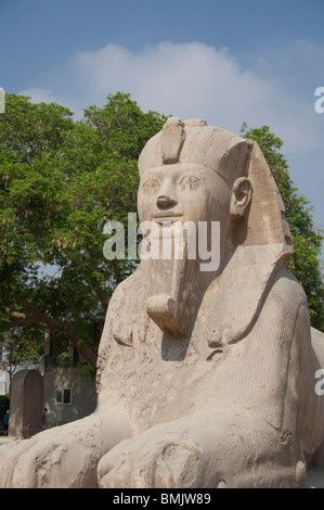 Ägypten, Memphis (aka Menufer). Alabaster Sphinx Amenophis II. Stockfoto