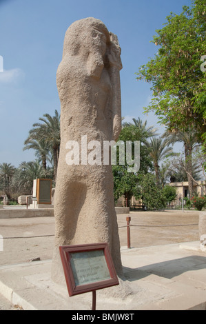 Ägypten, Memphis (aka Menufer). Gelegen zwischen Gizeh & Sakkara. Steinstatue von Ramsis II im Museum unter freiem Himmel. Stockfoto