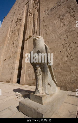 Riesige schwarze Granitstatue des Horus als ein Falke vor den Eingang Pylon des Tempels von Horus in Edfu, Assuan, Ägypten Stockfoto