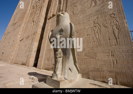 Riesige schwarze Granitstatue des Horus als ein Falke vor den Eingang Pylon des Tempels von Horus in Edfu, Assuan, Ägypten Stockfoto