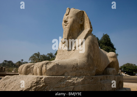 Alabaster Sphinx, Memphis, Al Jizah, Ägypten Stockfoto