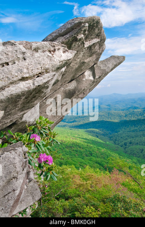 Blick auf die Blue Ridge Mountains Stockfoto