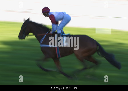 Führenden Galopp Pferd und Jockey gegen Bewegung verwischt Hintergrund. Horizontale Stockfoto