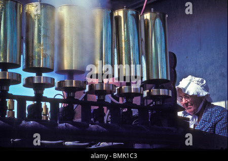 Landis Valley Farm Museum, Lancaster, PA.  historische Sammlung von frühen amerikanischen Artefakten Antiquitäten Landmaschinen Stockfoto