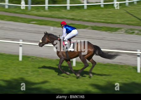 Führenden Galopp Pferd und Jockey gegen Bewegung verwischt Hintergrund. Horizontale Stockfoto