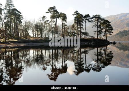 Winter-Reflexionen, Loch Eck, Argyle und Bute, Scotland Stockfoto