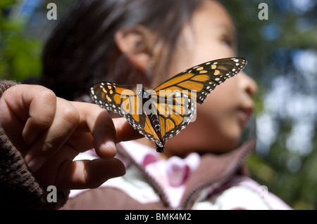 Monarchfalter Danaus Plexippus stehend in einen kleinen Mädchens Hand in Michoacan, Mexiko. Stockfoto