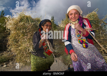 Landwirte mit geerntete Heu, Wakhan Valley, Tadschikistan Stockfoto