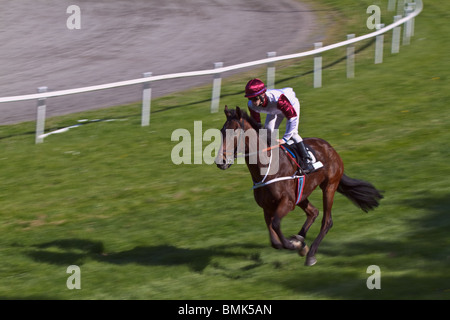 Führenden Galopp Pferd und Jockey gegen Bewegung verwischt Hintergrund. Horizontale Stockfoto