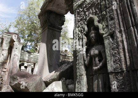 Ein Apsara an einer Wand in Ta Prohm Tempel, Angkor, Kambodscha Stockfoto