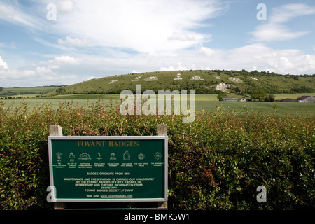 Der Fovant-Regiments-Abzeichen - schneiden in einem Kreide-Hügel in Wiltshire. Die Abzeichen werden von britischen und australischen WW1 Regimenter Stockfoto