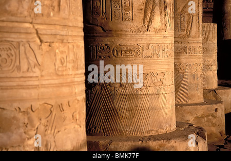 Bas-Reliefs auf den Spalten der äußeren Säulenhalle des Tempels von Sobek und Haroeris, Kom Ombo, Assuan, Ägypten Stockfoto