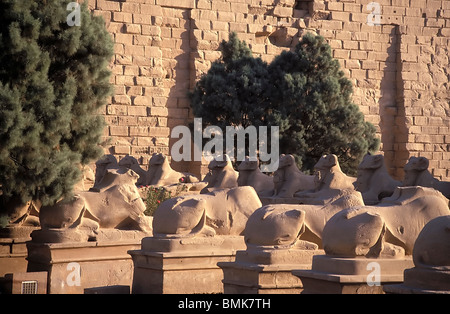 Granit-Koloss des Ramses II. auf dem Thron vor dem Eingang Pylon der Luxor-Tempel, Luxor, Qina, Ägypten Stockfoto