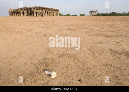 Äthiopien: Unteren Omo River Basin, Karo Dorf von Duss, Stockfoto