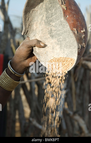 Äthiopien: Unteren Omo River Basin, Dilabino, in der Nähe von Turmi, Hamar Familie Cluster (Homestead), Korn Spreu vom Weizen zu trennen Stockfoto