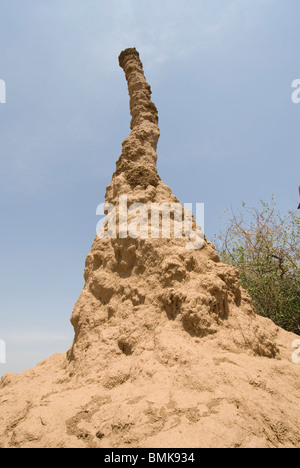 Äthiopien: Unteren Omo River Basin, Straße von Omorate nach Duss, Termite Hügel Stockfoto