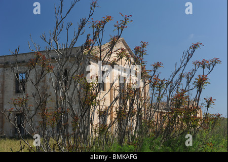 Aufgegebenen militärischen Gebäude durch Vordergrund von wilden Blumen in La Mola, Mahon, Menorca, Spanien Stockfoto