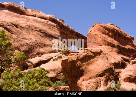 Partition Arch, Arches-Nationalpark, Moab, Utah Stockfoto