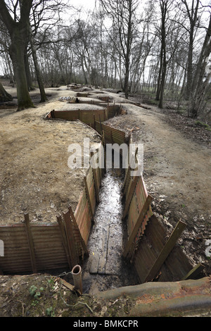 1. Weltkrieg Gräben bei Sanctuary Wald bei Ypern in Belgien. Stockfoto