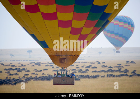 Afrika, Kenia, Masai Mara. Ballonfahren in der Masai Mara über die Wanderung der Gnus. Stockfoto