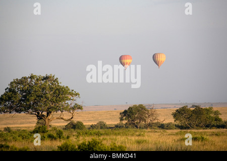 Afrika, Kenia, Masai Mara. Zwei Heißluftballons driften über die offene Prärie in den frühen Morgenstunden. Stockfoto