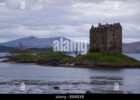 Castle Stalker Loch Laich Loch Linnhe Lorn Argyll Schottland brüten Stockfoto