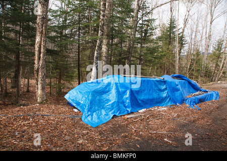 Plane für Holz auf der Spur Stockfoto