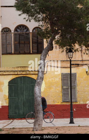 Ein Mann auf einem Fahrrad - teilweise durch Baum versteckt - Fahrten vorbei an grünen Trainer Tür von typischen spanischen Stil erbaute Haus in Cuitedella, Menorca, Spanien Stockfoto