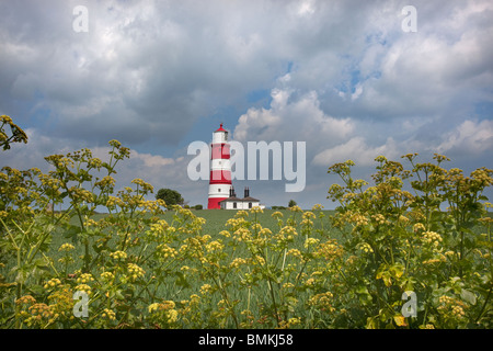 Die roten und weißen Happisburgh Licht Haus Norfolk UK Mai Stockfoto