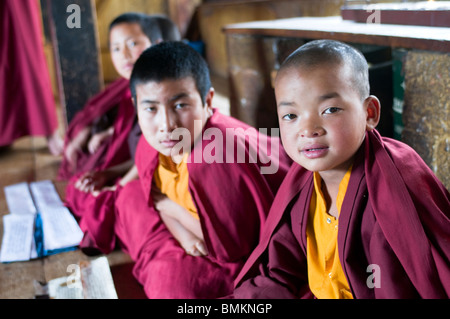 Gruppe von sehr junge buddhistische Mönche lernt. Tempe Lhakhang. Bhutan. Asien. Stockfoto