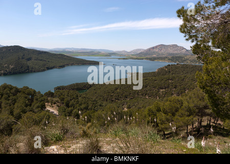 Embalse de Guadalteba, Stausee Guadalhorce, Provinz Málaga, Andalusien, Spanien. Stockfoto