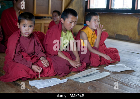 Gruppe von sehr junge buddhistische Mönche lernt. Tempe Lhakhang. Bhutan. Asien. Stockfoto