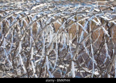 Rollen von Edelstahl-Stacheldraht-Spiralen halten Gefangene vom Maschendrahtzaun Justizvollzugsanstalt in Florida Stockfoto