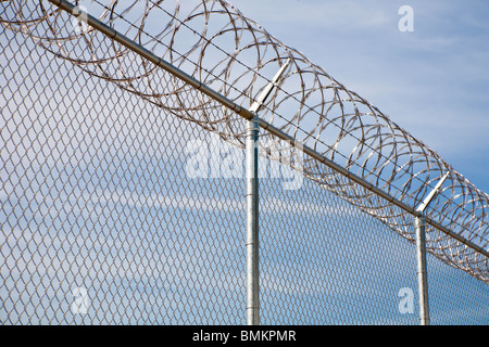 Florida - Februar 2009 - Edelstahl Stacheldraht Spiralen über Maschendrahtzaun an Justizvollzugsanstalt in Zentral-Florida Stockfoto