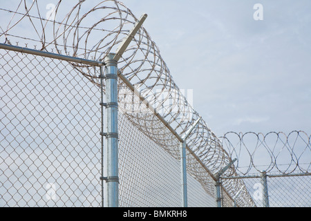 Florida - Februar 2009 - Edelstahl Stacheldraht Spiralen über Maschendrahtzaun an Justizvollzugsanstalt in Zentral-Florida Stockfoto