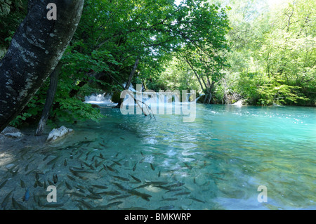 Nationalpark Plitvicer Seen in Kroatien Stockfoto