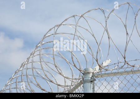 Florida - Februar 2009 - Edelstahl Stacheldraht Spiralen über Maschendrahtzaun an Justizvollzugsanstalt in Zentral-Florida Stockfoto