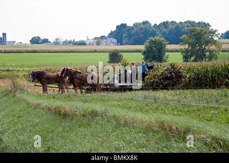 Lancaster County, PA - Sept 2009 - Amish Familie Maisernte mit Pferd und Wagen in Lancaster County Pennsylvania Stockfoto