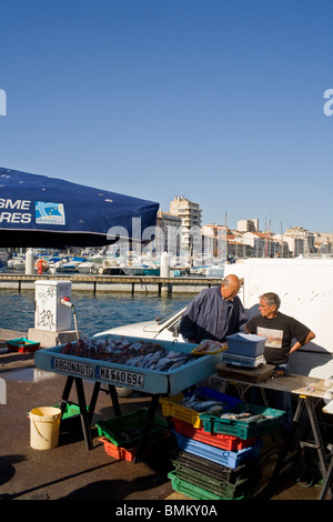 Fischer verkaufen am Morgen fangen auf den alten Hafen von Marseille, Frankreich. Stockfoto