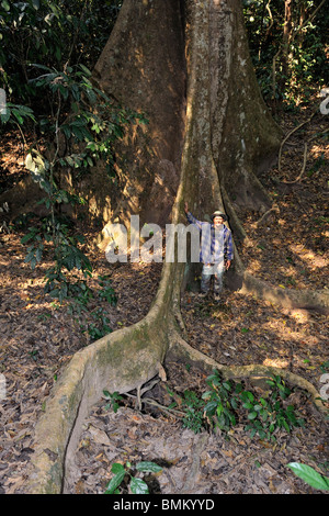 Parkwächter in der Nähe von Wurzeln der Baumriesen im Dschungel von Thailand. Stockfoto