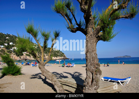 Strandblick, Cala de Sant Vicent, Ibiza, Balearen, Spanien Stockfoto