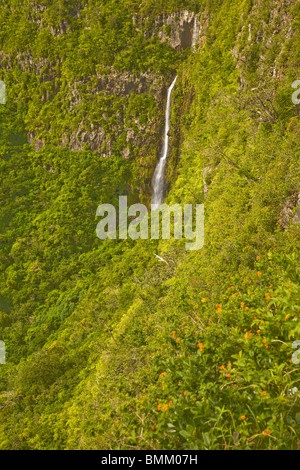 River Noire Wasserfälle, Aussichtspunkt am Black River Gorges National Park, Mauritius, Afrika Stockfoto