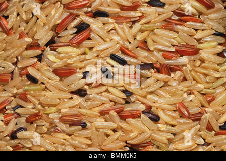 Einige Reiskörner rot, schwarz und golden. Stockfoto