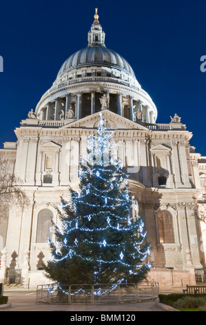 St. Pauls Cathedral in der Nacht, mit Weihnachtsbaum Lichter, London, Vereinigtes Königreich Stockfoto