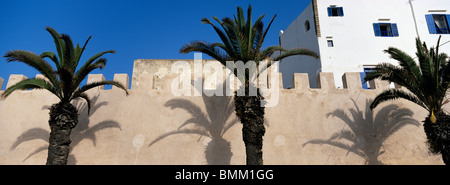 Afrika, Marokko, Palmen werfen Schatten auf alten ummauerten Medina in Stadt Essaouira an der Atlantikküste Stockfoto