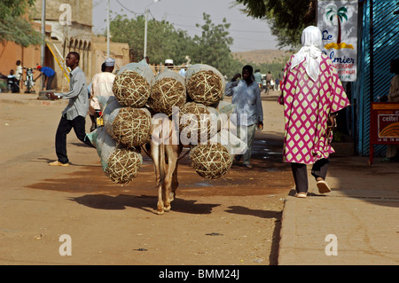 Niger, Niamey, Stockfoto