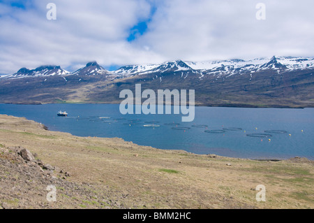 Fjörd vor Berglandschaft in Wolken mit beweglichen Shrimpsfarm, Ostküste, Island Stockfoto