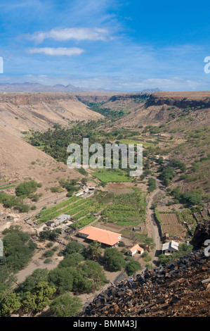 Blick über Tal und blüht. Cidade Velha, Santiago, Cabo Verde, Afrika, Ciudad Velha, Tal Stockfoto